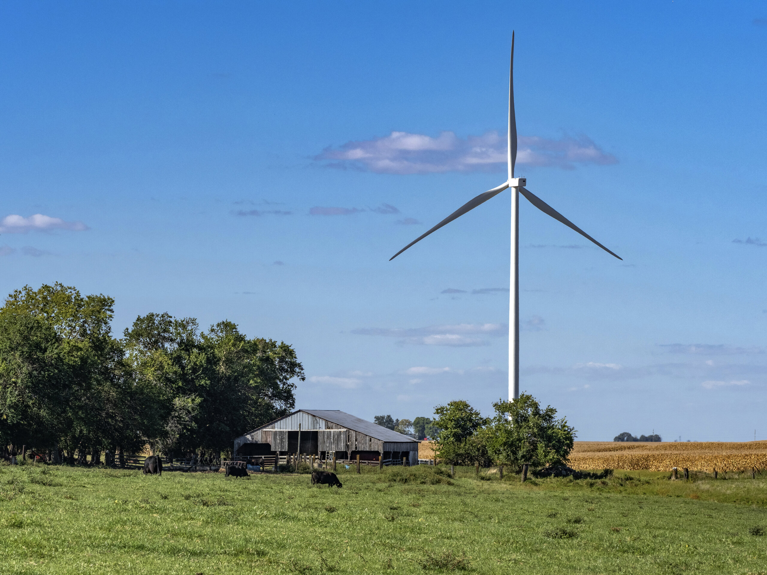 Apex Clean Energy Closes Financing For 300 Mw Prosperity Wind Apex Clean Energy 0695